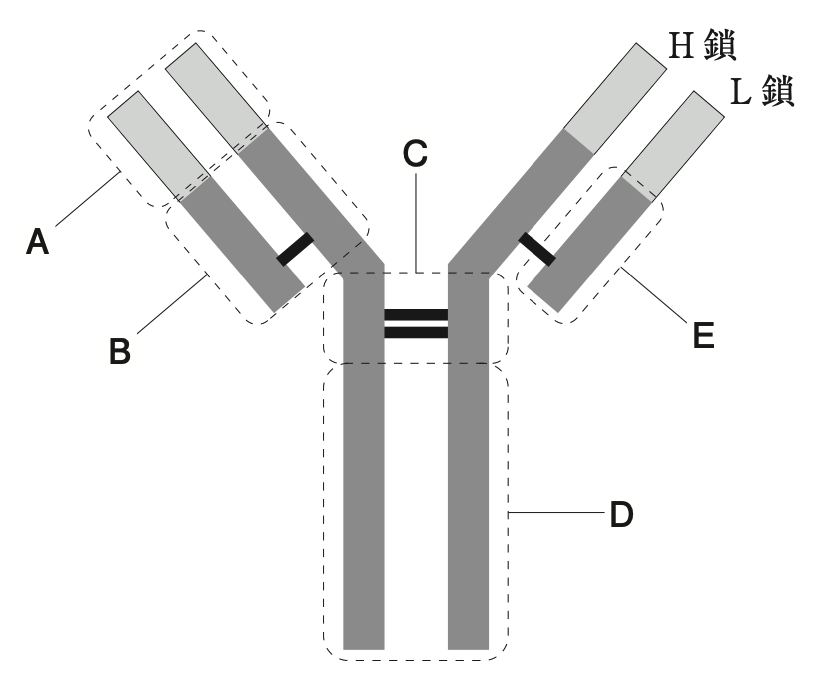 解説画像